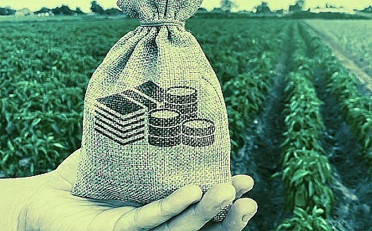 眼红AI热潮引发反噬 “美版贴吧”执意对数据收费 用户:都别玩了